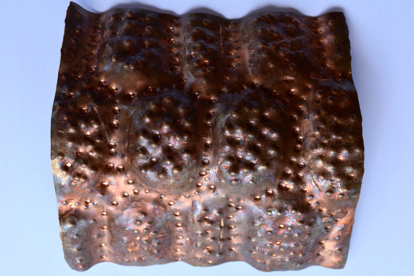 La Tartaruga Rosa_Componente per Vaso