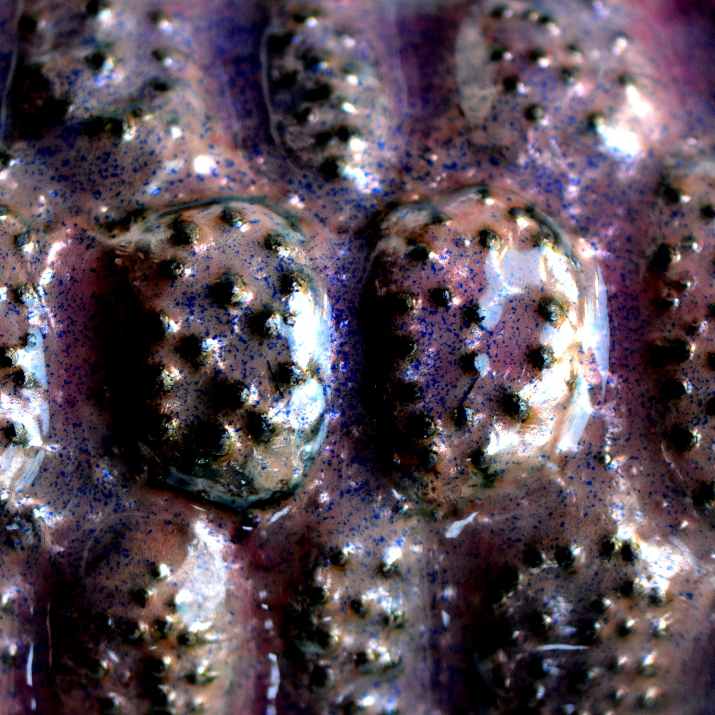 La Tartaruga Rosa_Componente per Vaso