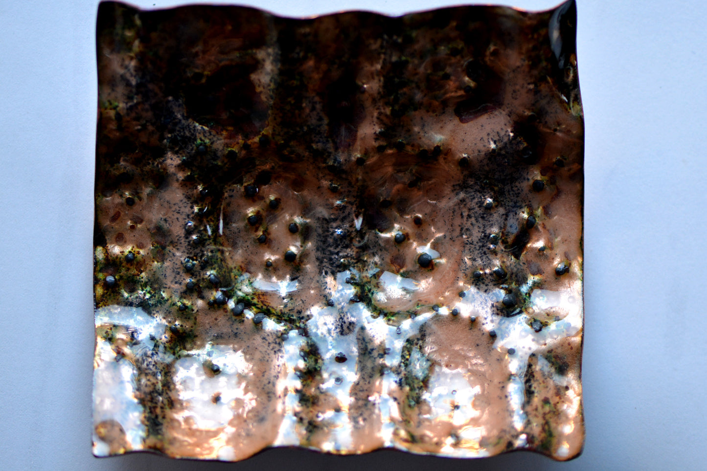 La Tartaruga Rosa_Componente per Vaso