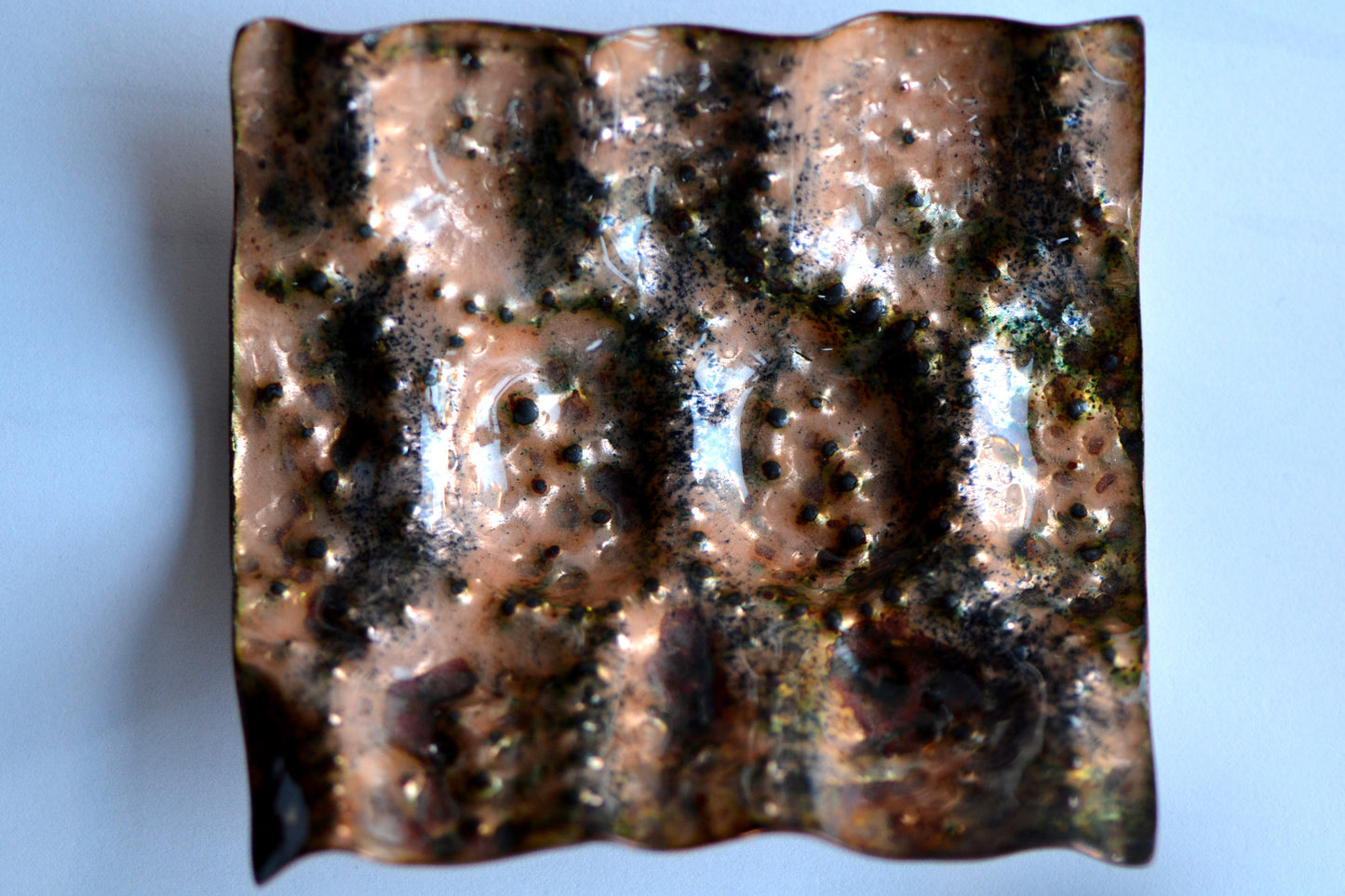 La Tartaruga Rosa_Componente per Vaso