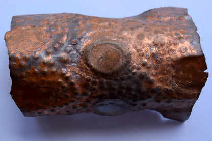 La Tartaruga Blu_Bracciale