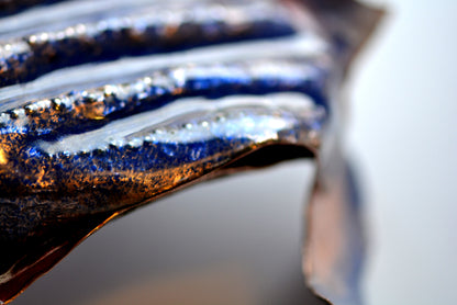 The Big Blu Turtle - Leatherback Turtle_ Object