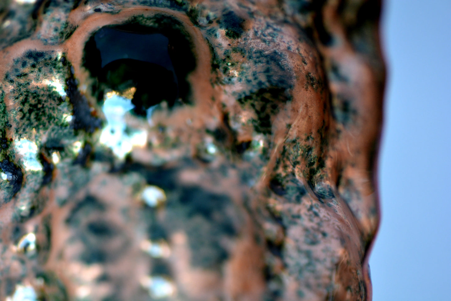 La Tartaruga Verde_Bracciale