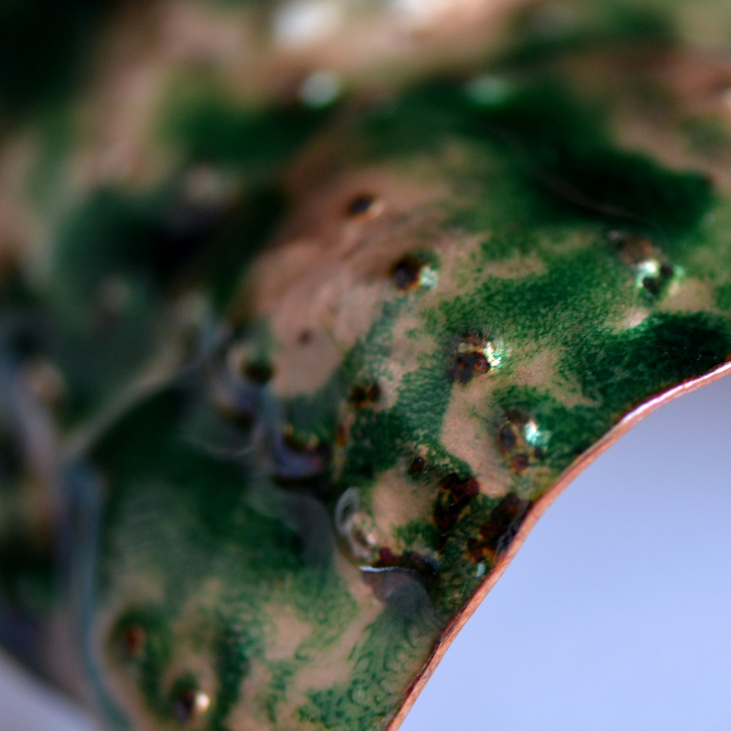 La Tartaruga Verde_Bracciale