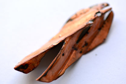 Long Leaf_Pendent