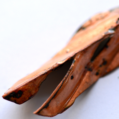 Long Leaf_Pendent