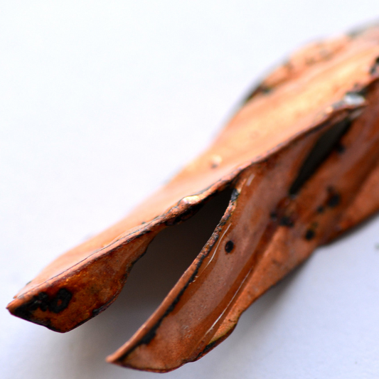 Long Leaf_Pendent