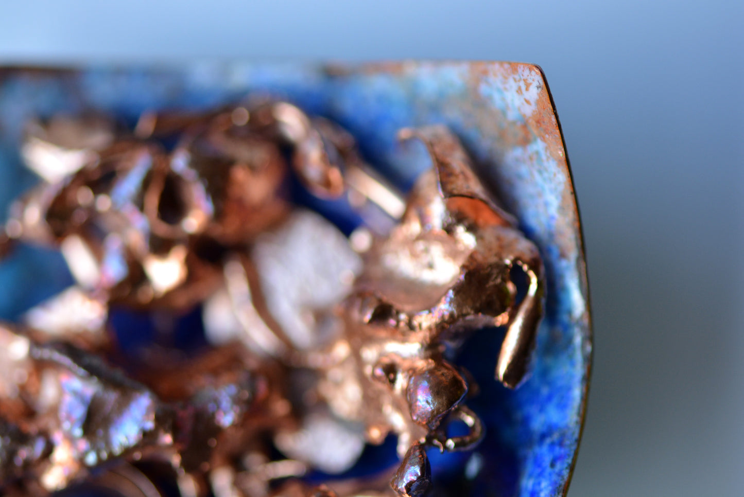 Broach_Dogs Chasing Each Other