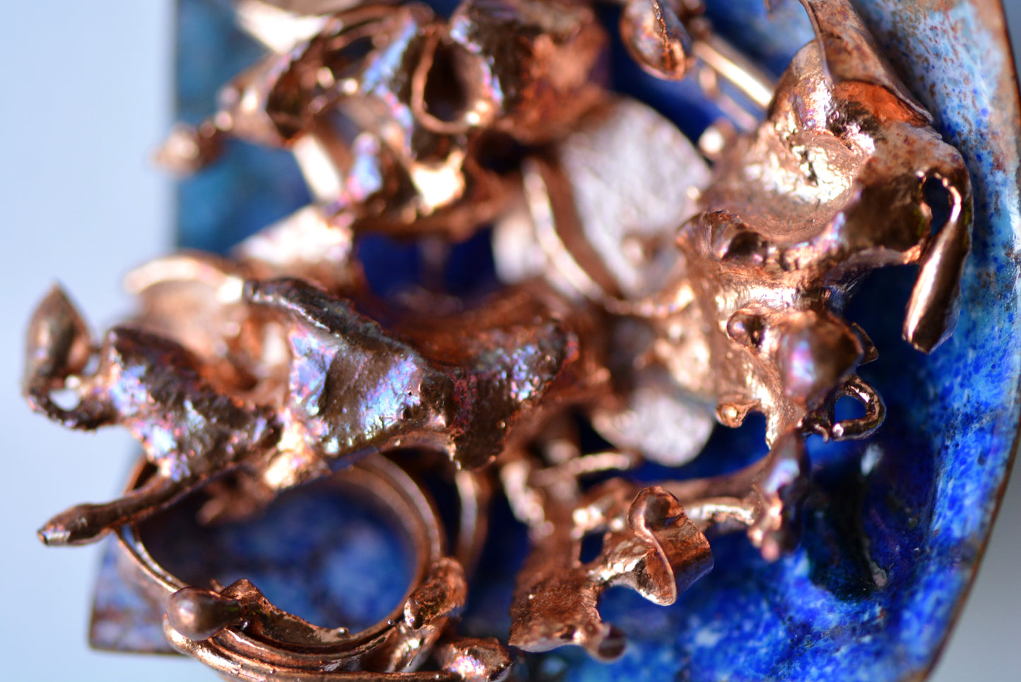 Broach_Dogs Chasing Each Other
