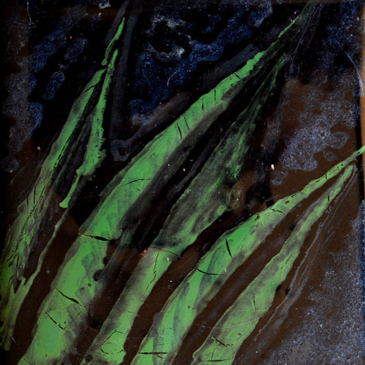 Painted Leaf